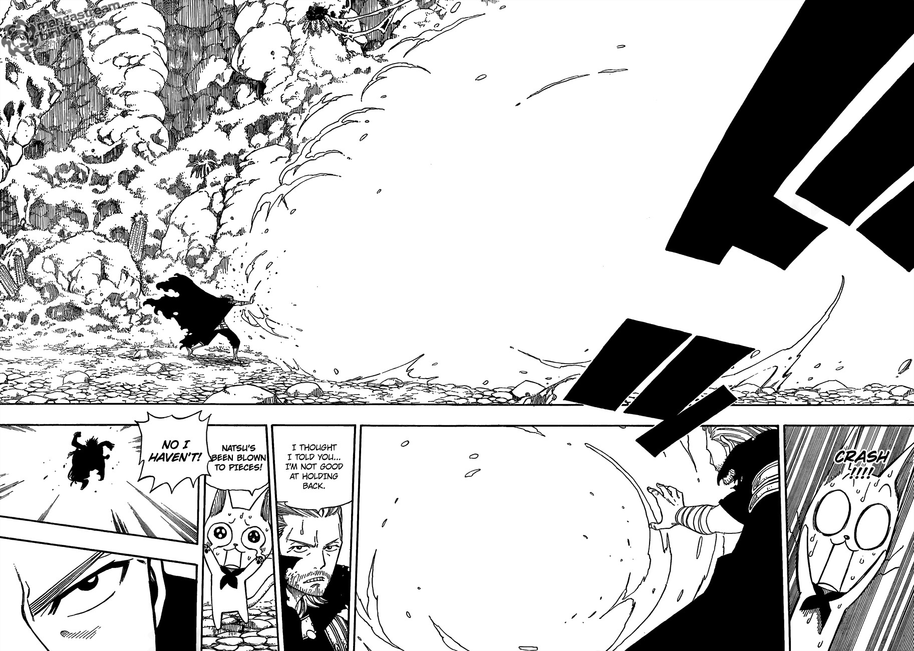 Fairy Tail Chapter 205 10